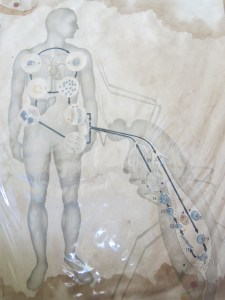 Die Riesenmoskito, die dem Doktor die Lektion seines Lebens erteilte